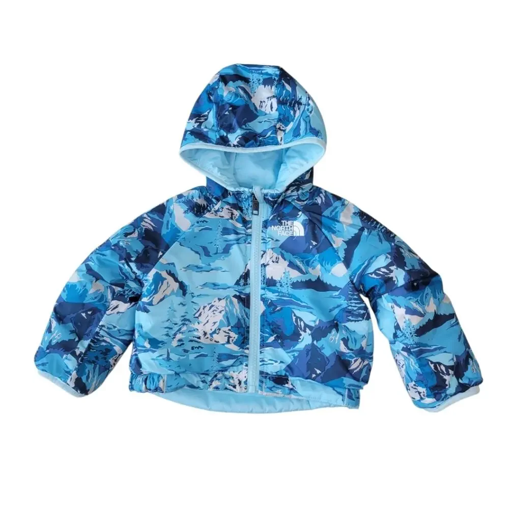 The North Face brand north